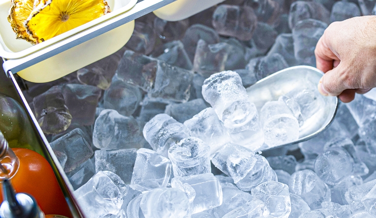 Pieces pour machines a glace